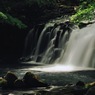 朝の木洩れ陽の下で