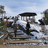 宮島・弥山(みせん）2015：しま山100選・広島県廿日市市(51)