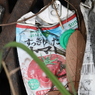 プレスされた缶