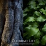 Celebrate Life（組み写真）