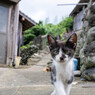 お散歩にゴー