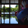 初夏の宝徳寺