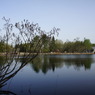 DSC02391