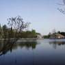 DSC02390
