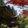 円成寺・境内
