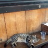 hangover~.。o○～