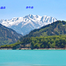 残雪の立山・黒部アルペンルート2006(4)