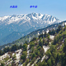 残雪の立山・黒部アルペンルート2006(8)