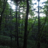 P7220010