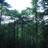 P7220020