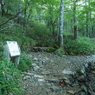 P7220021