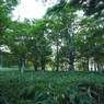 P7220025