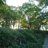 P7220026