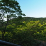 P7220056