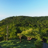 P7220060