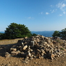 P7220097