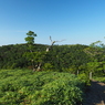 P7220137