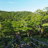 P7220169