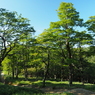 P7220175