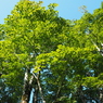 P7220180