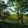 P7220185