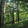 P7220200