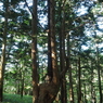 P7220203