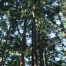 P7220204