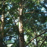 P7220205