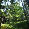 P7220206