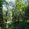 P7220208