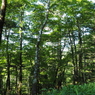 P7220209