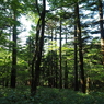 P7220210