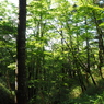 P7220214