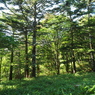 P7220215