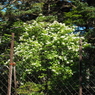P7220216