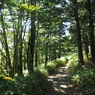 P7220217