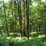 P7220224