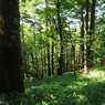 P7220226