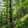 P7220231