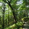 P7220232