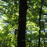 P7220233