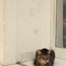 幸せっちゃ～～♡♪