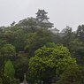 日本100名城　No.57　高知城　