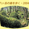 北八ヶ岳の山旅2004(1)