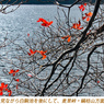 北八ヶ岳の山旅2004(20)
