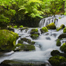 夏の蓼科大滝