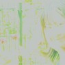 のどか　光