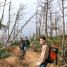 北八ヶ岳の山旅2004(21)