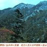 甲斐駒ヶ岳登頂の山旅2005(4)